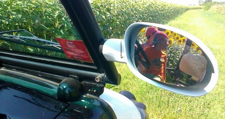 Bellaria Igea Marina: il verde dei campi coltivati