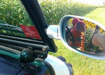 Bellaria Igea Marina: il verde dei campi coltivati