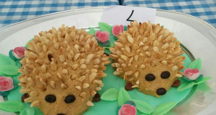 Venite con me alla Sagra del Porcospino di Mercato Saraceno