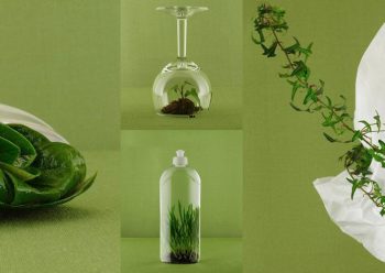 Marzo, il mese dell’ambiente
