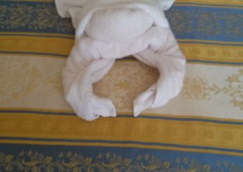 Come fare un’aragosta con gli asciugamani